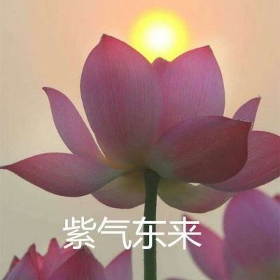 剑化万道手游(暂未上线)v1.0 安卓版